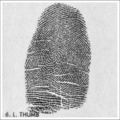 Fingerprint.png